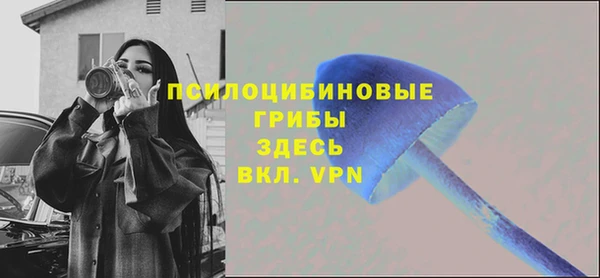 гидропоника Абаза