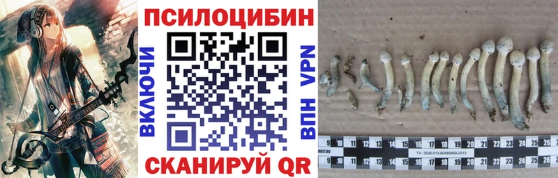Псилоцибиновые грибы мухоморы  Сорск 